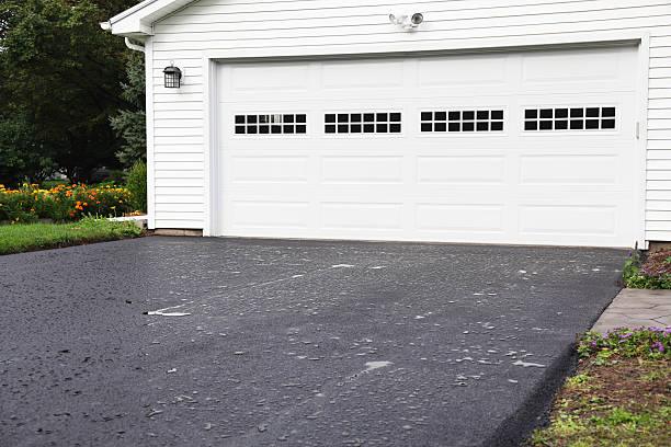 Best Hoarding Cleanup  in Dover Base Housing, DE